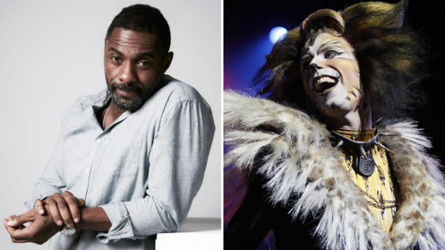 ادریس البا و تیلور سوییفت در گربه ها